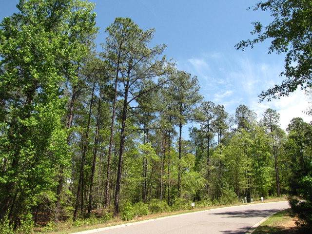3082 Stonehaven Drive - Photo 1