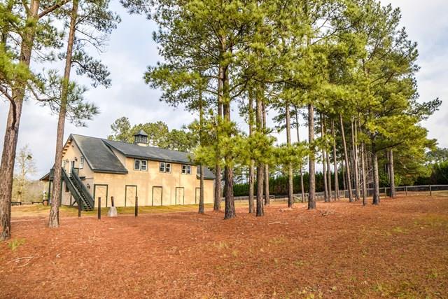 270 Mcintosh Loop - Photo 1