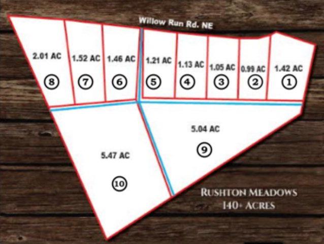 Lot 3 Willow Run Road - Photo 1