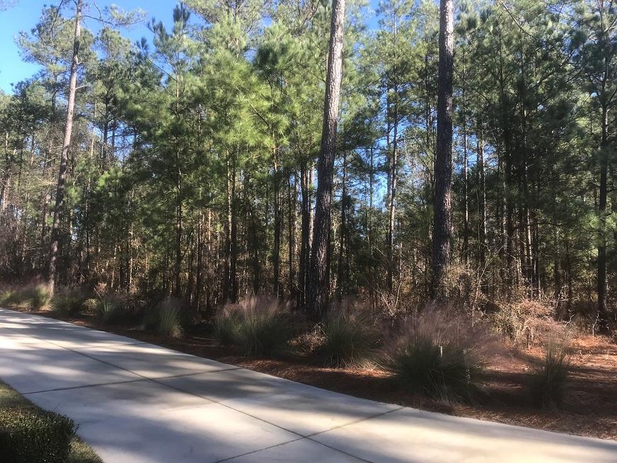 5035 Lady Bank Lane - Photo 1 5035 Lady Bank Lane - Photo 1