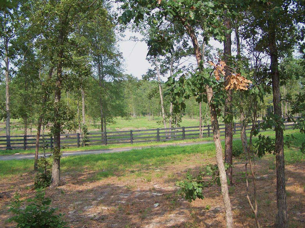 000 Solstice Meadow Lane - Photo 1