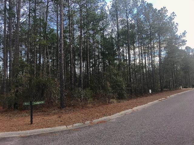 2229 Cardigan Drive - Photo 1
