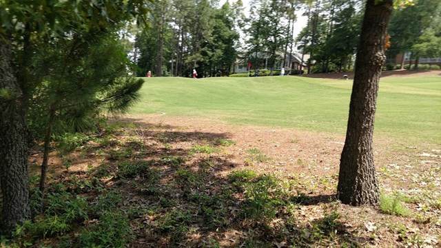 120 River Birch Road - Photo 1