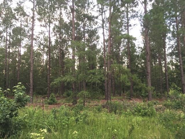 LOT 3 Skyland Farm Rd - Photo 1
