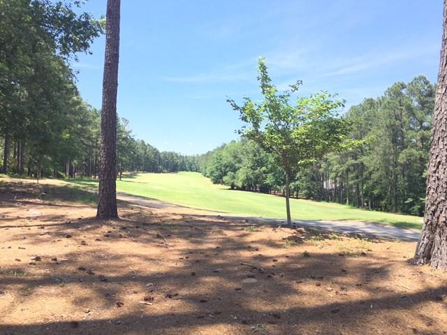 Lot Ne12 Long Shadow Drive - Photo 1