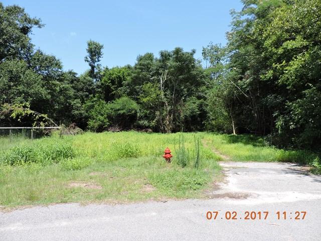 100/102 Elberta Circle - Photo 1