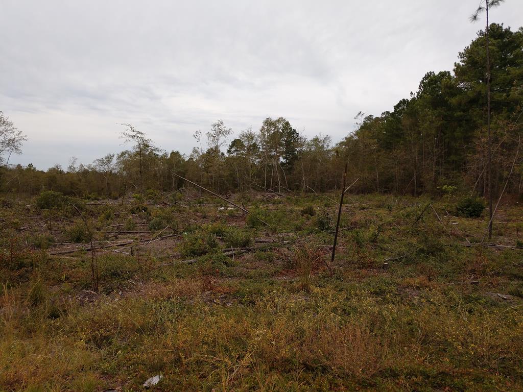 lot 10 Dry Branch Ct - Photo 1