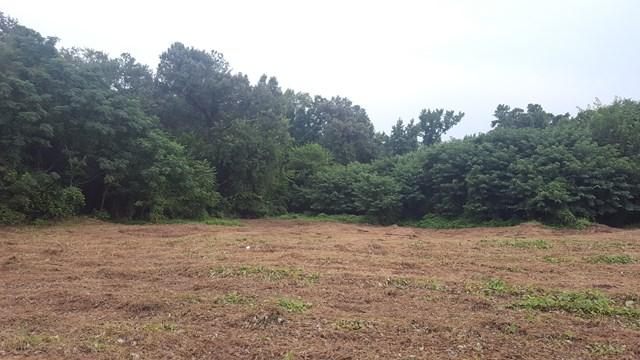 1 Bradleyville Road - Photo 1