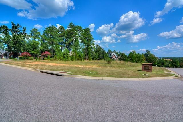 134 Red Cedar - Photo 1