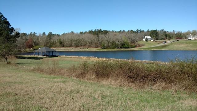 Lot 01 Herndon Dairy Road - Photo 1