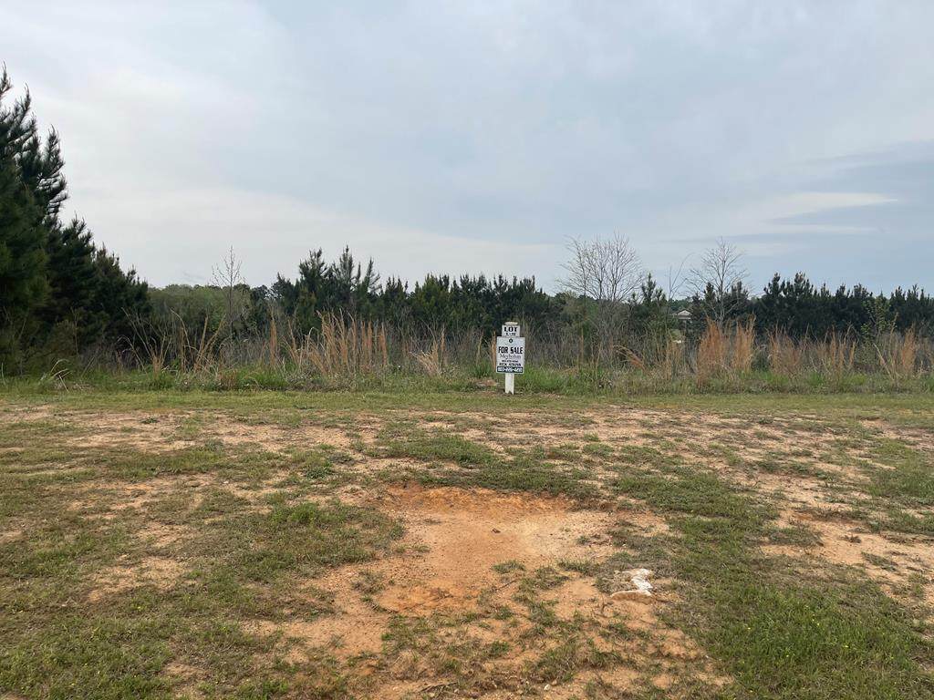 Lot L-11 Militia Loop - Photo 1