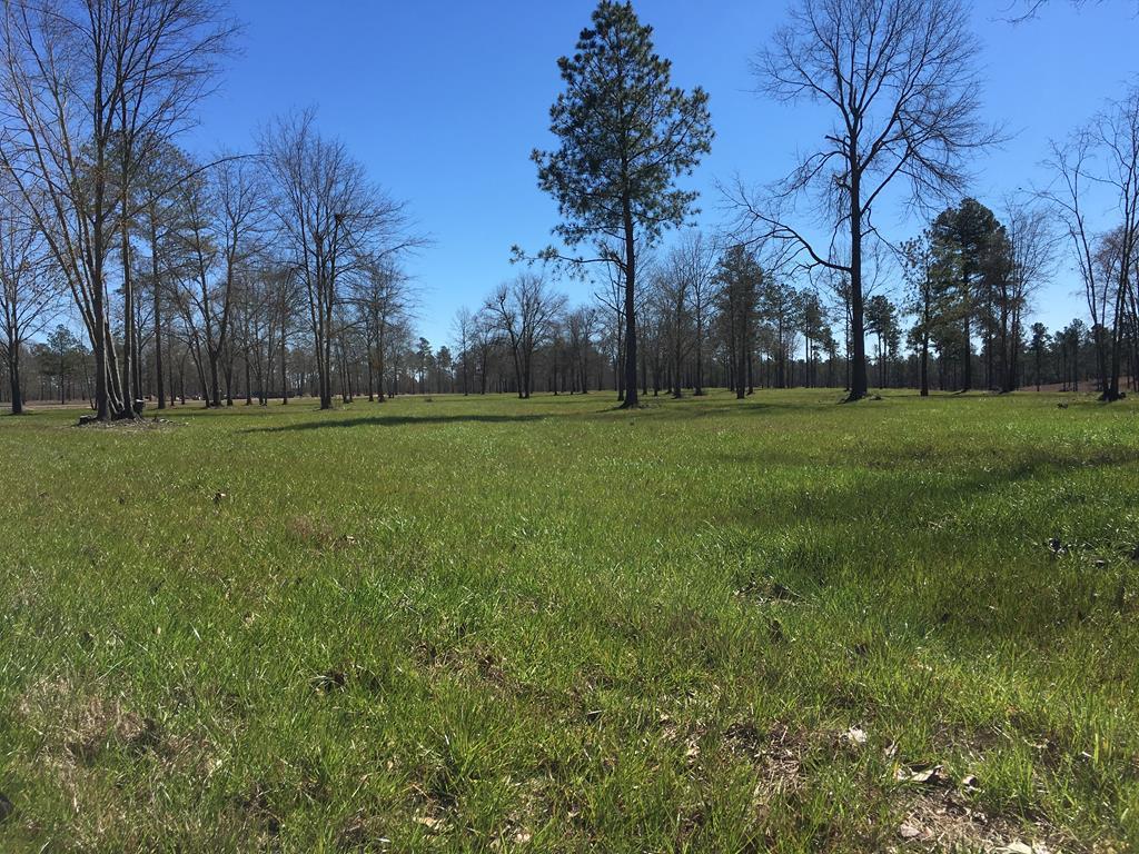 lot 6 Parque Lane - Photo 1 lot 6 Parque Lane - Photo 1
