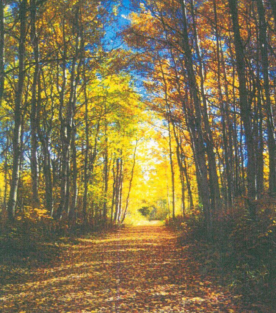 Lot 14 Misty River Trail - Photo 1