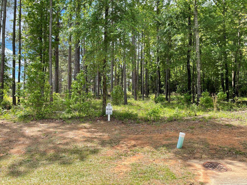 Lot N-78 Eutaw Springs Trail - Photo 1