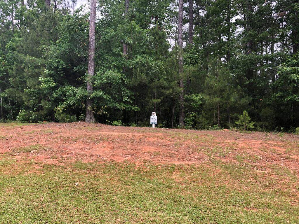 Lot H-16 Savannah Way - Photo 1