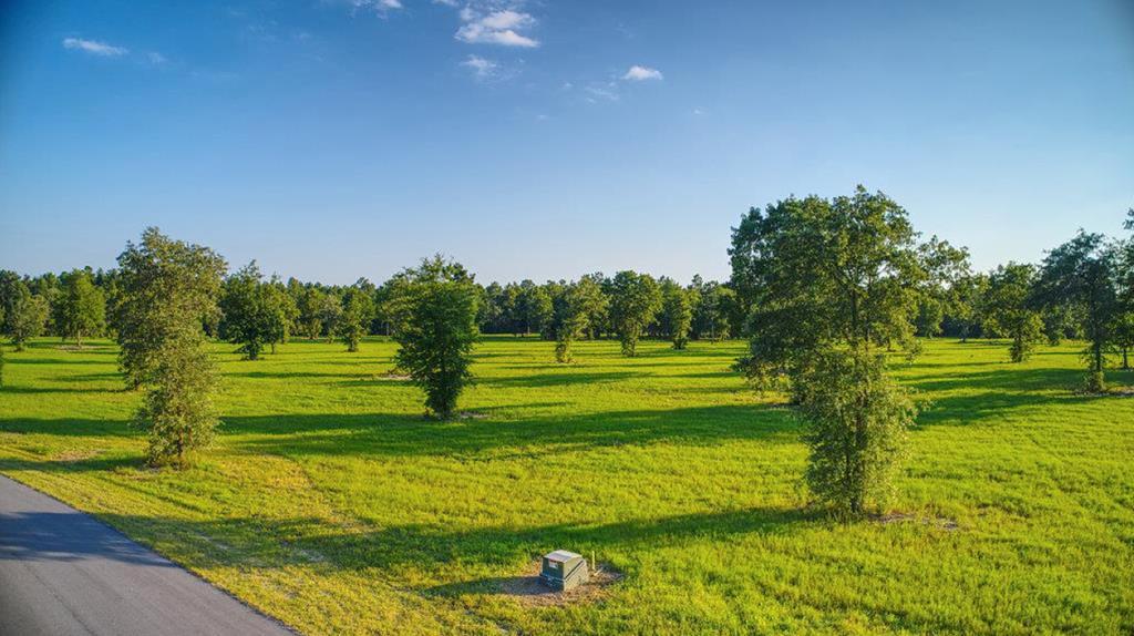 Lot 50 Bayboro Circle - Photo 1