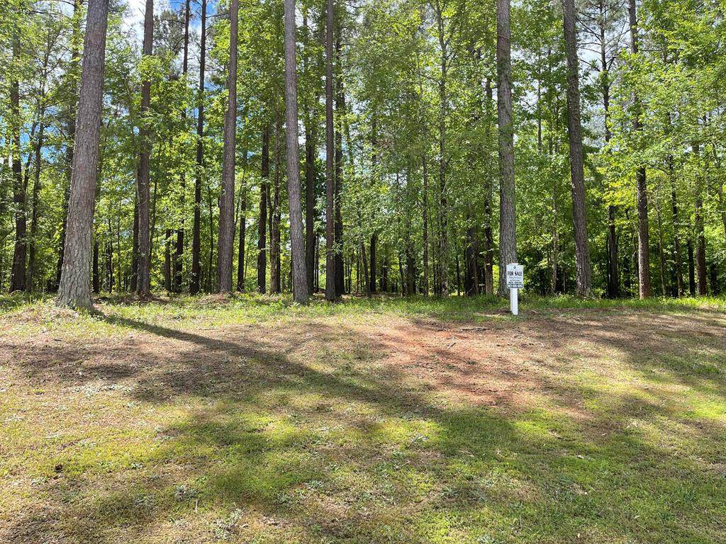 Lot N-62 Eutaw Springs Trail - Photo 1