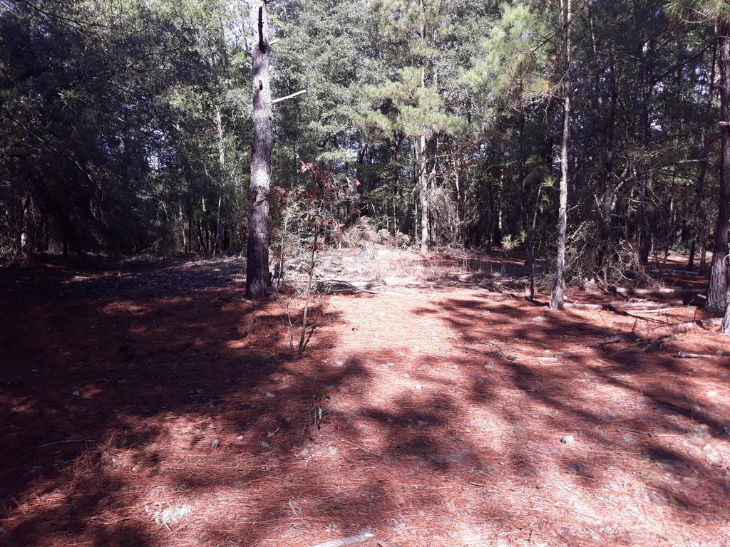 5 Cricket Tree Rd - Photo 1