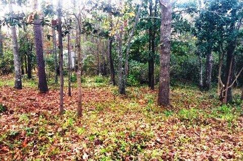 Lot 14-N Vanderbilt - Photo 1