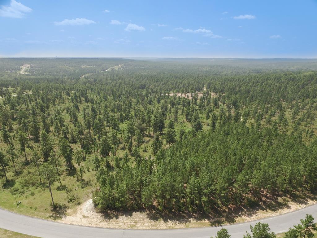Lot 5 Hurlingham Drive - Photo 1