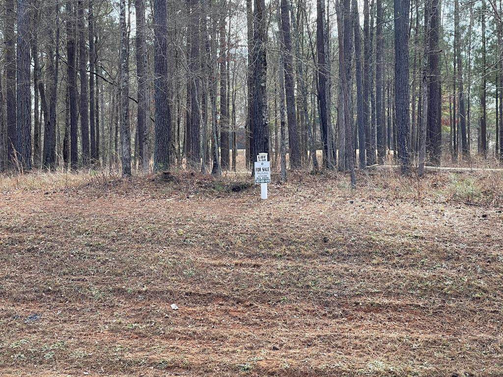 Lot N-68 Eutaw Springs Trail - Photo 1