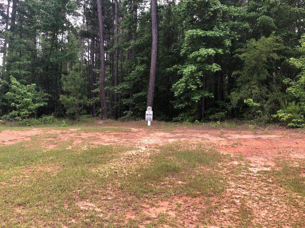 Lot H-17 Savannah Way - Photo 1 Lot H-17 Savannah Way - Photo 1