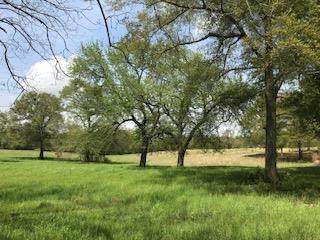 Lot T-2 Burkelo Road - Photo 1