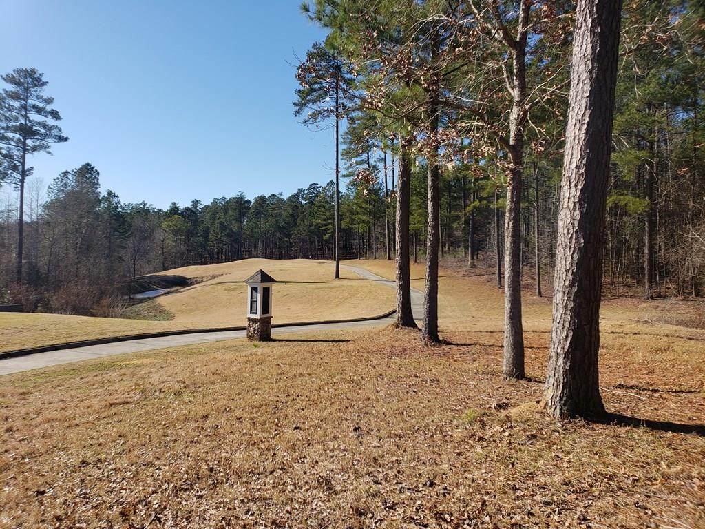 Lot L-19 Militia Loop - Photo 1