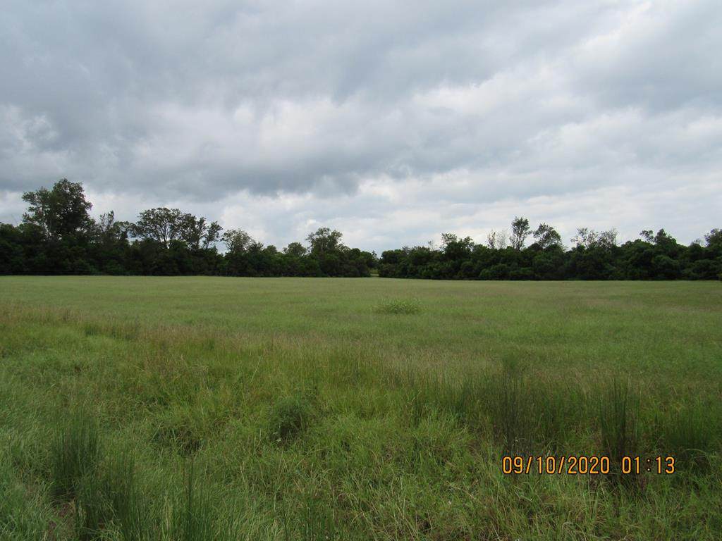 000 Wire Road - Photo 1
