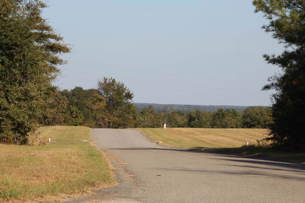 272 Lot #8 Equestrian Way - Photo 1
