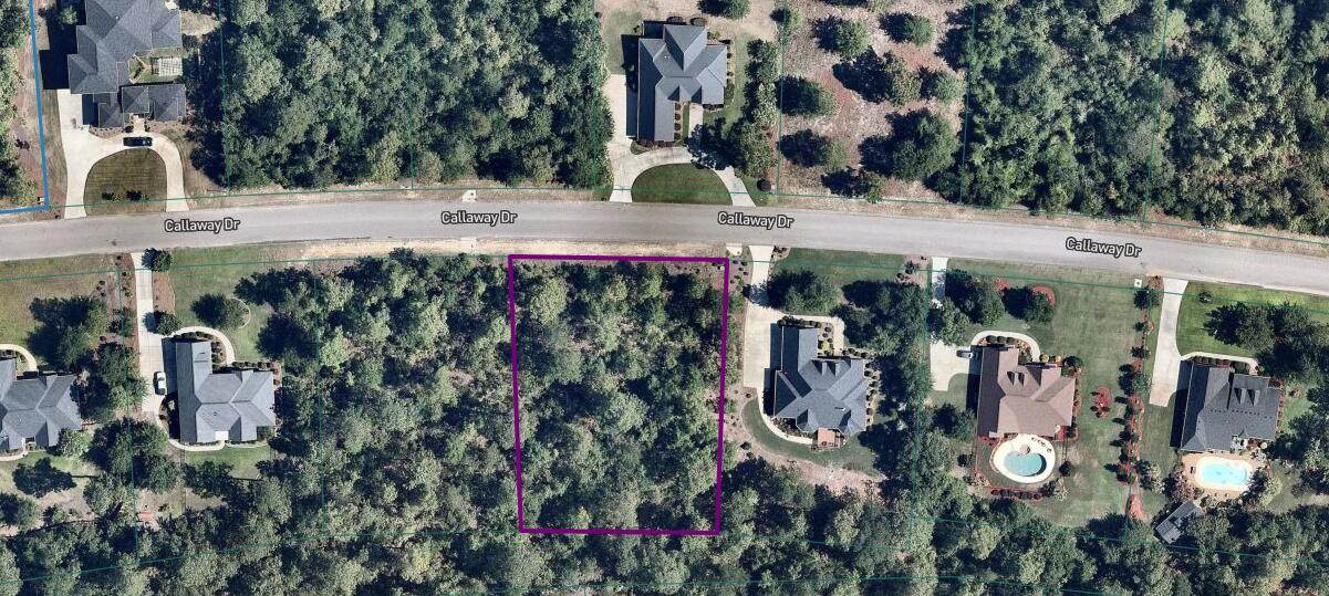 000 Callaway Drive - Photo 1