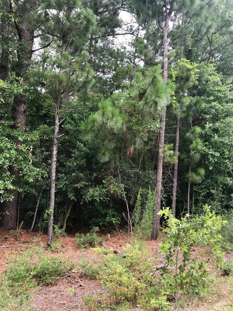 TBD Lots 3-5 University Pkwy - Photo 1