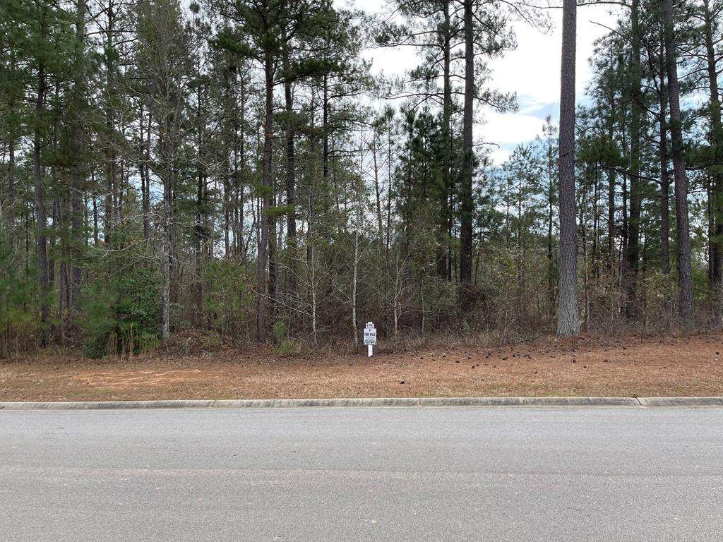 Lot N-53 Eutaw Springs Trail - Photo 1