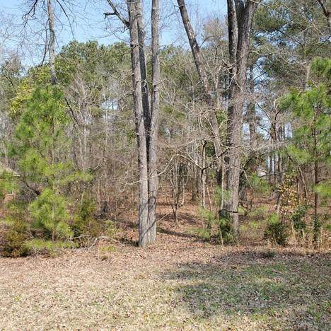 141 Glen Haven Circle - Photo 1