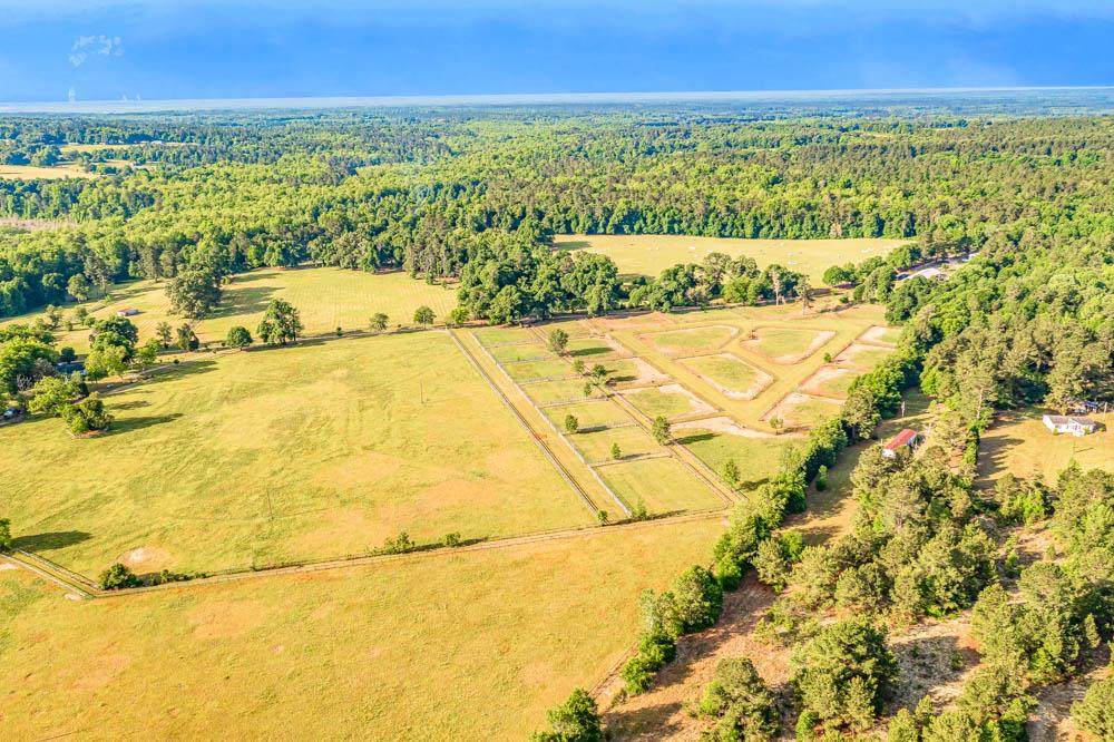 233 Hollow Creek Farm Road - Photo 1