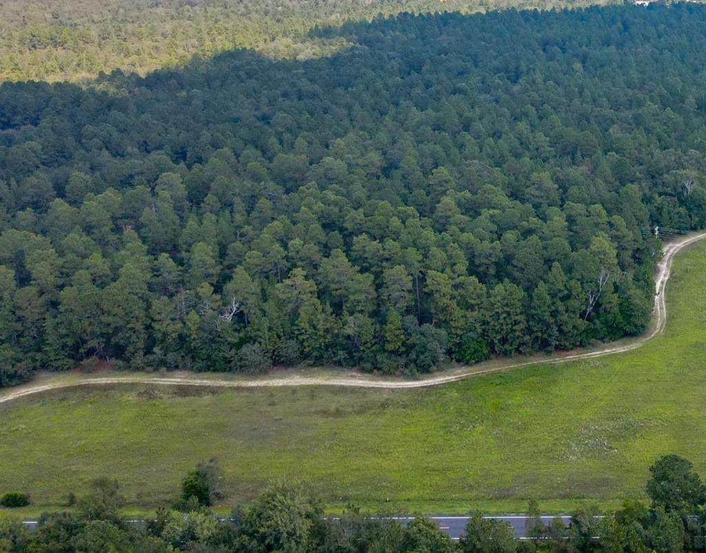 11.625 ac Charleston Hwy - Photo 1