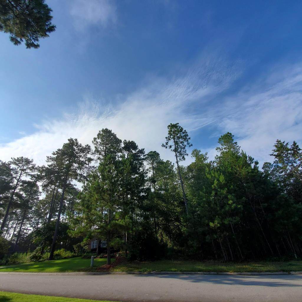 134 Pleasant Colony Drive - Photo 1