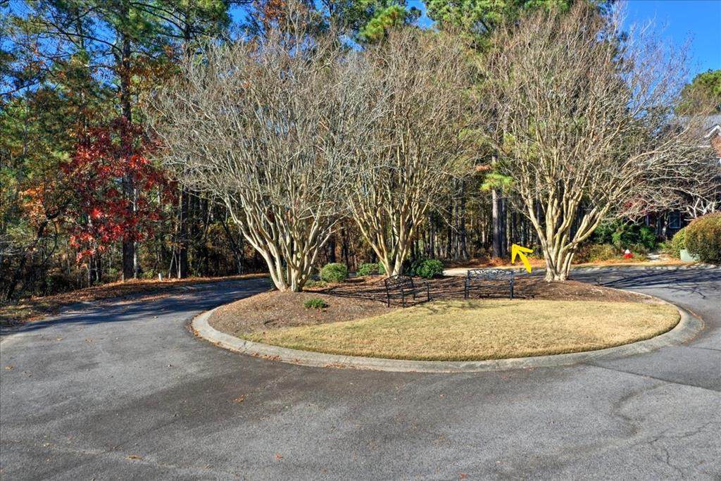 Lot 725 Charles Towne Place - Photo 1