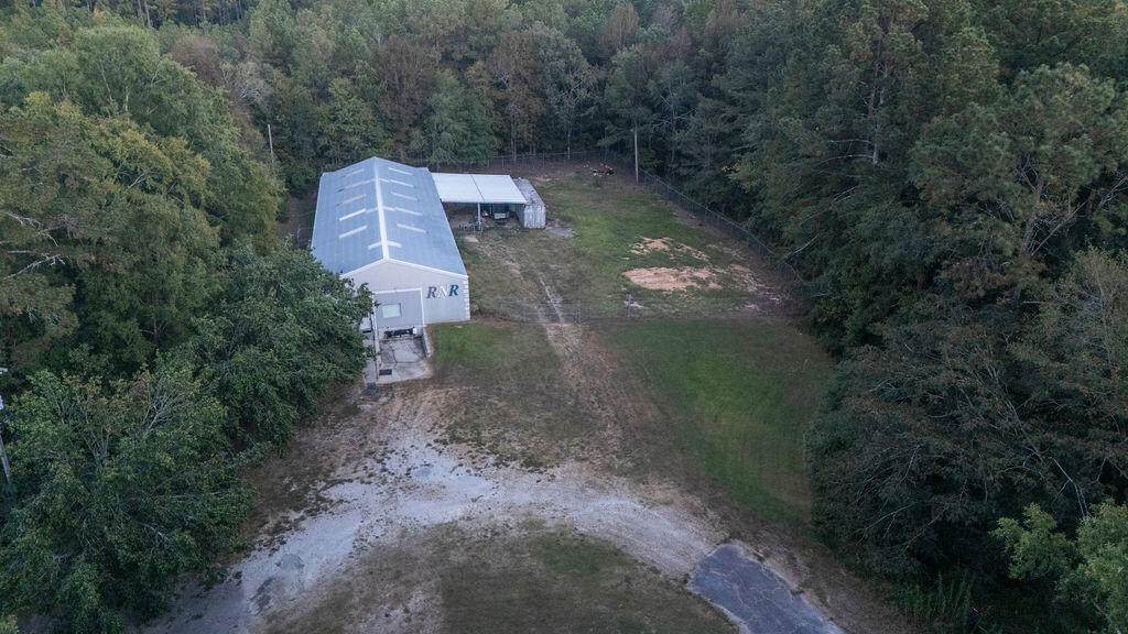1168 Bauskett Street - Photo 1