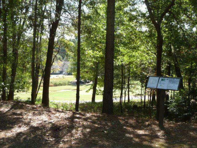 517 West Pleasant Colony Drive - Photo 1