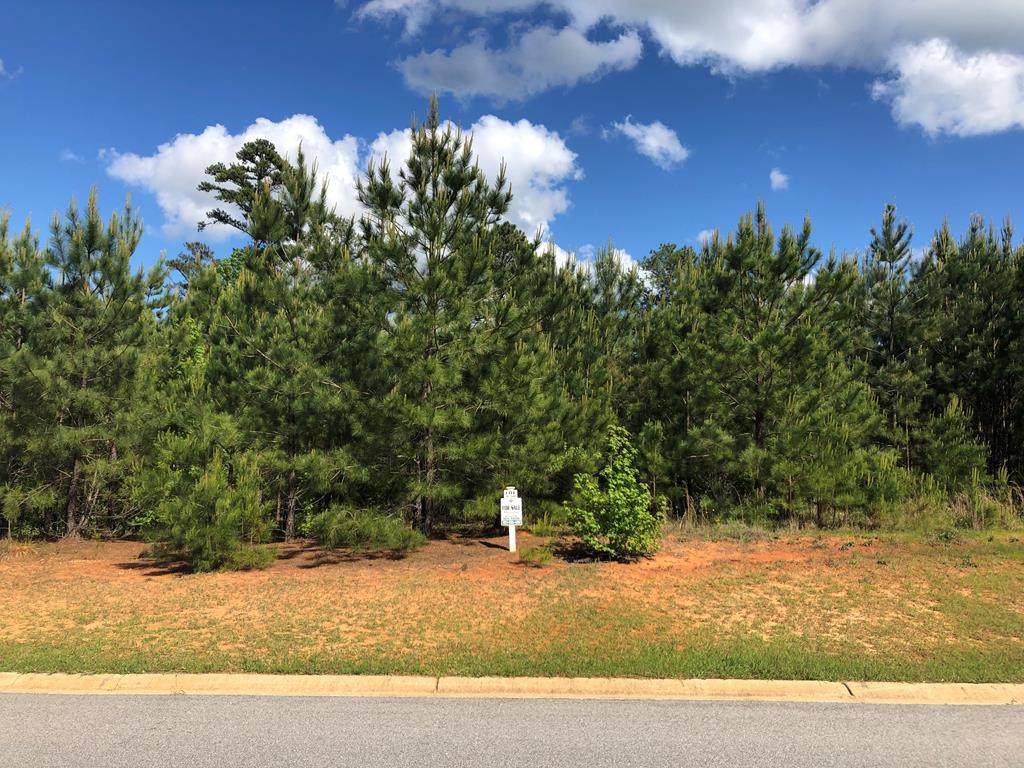 Lot N-50 Eutaw Springs Trail - Photo 1 Lot N-50 Eutaw Springs Trail - Photo 1