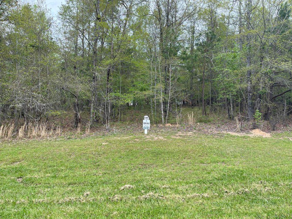 Lot C-25 Marbury Lane - Photo 1