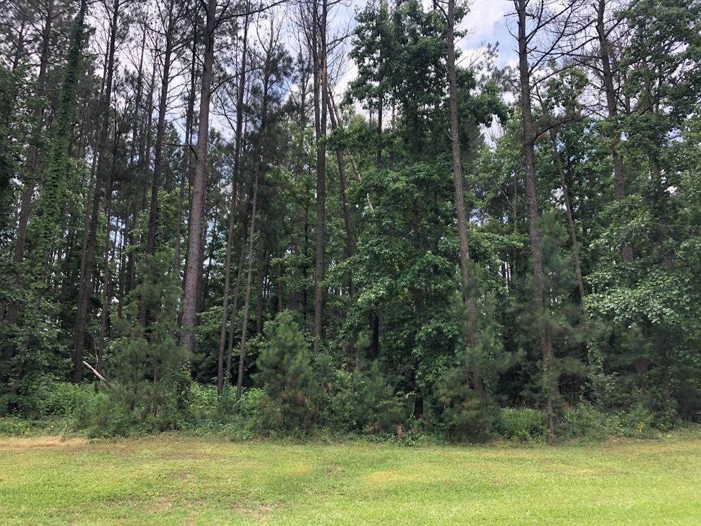 Lot E-5 Pavilion Lake Drive - Photo 1