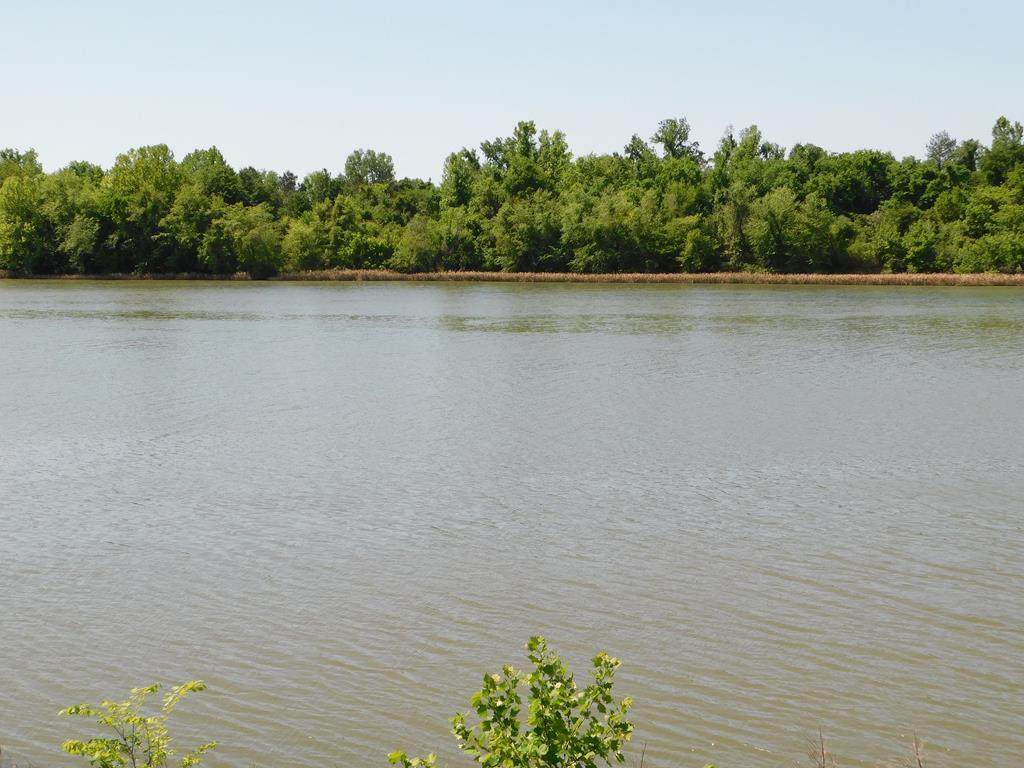 (lot 215)674 River North Drive - Photo 1