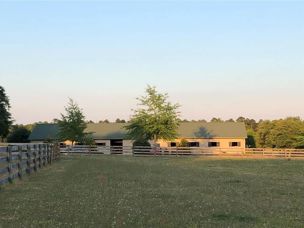 490 Big Tree Road - Photo 1