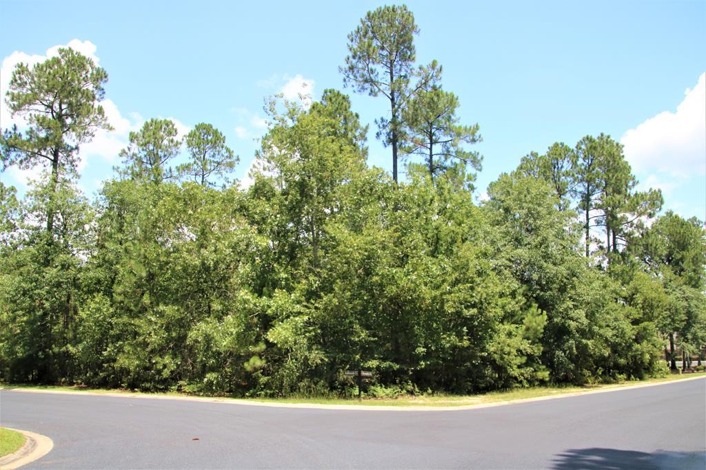 388 Devonshire Drive - Photo 1