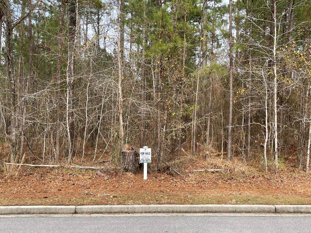 Lot N-14 Captain Johnsons Drive - Photo 1