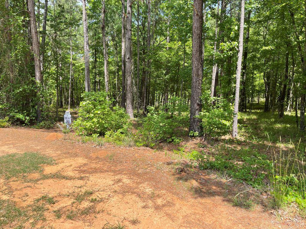 Lot N-25 Saluda Court - Photo 1