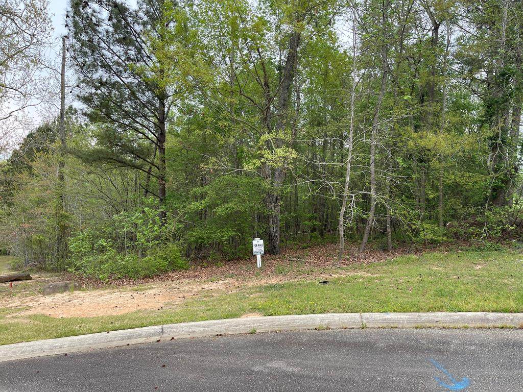 Lot G-12 James Booth Court - Photo 1