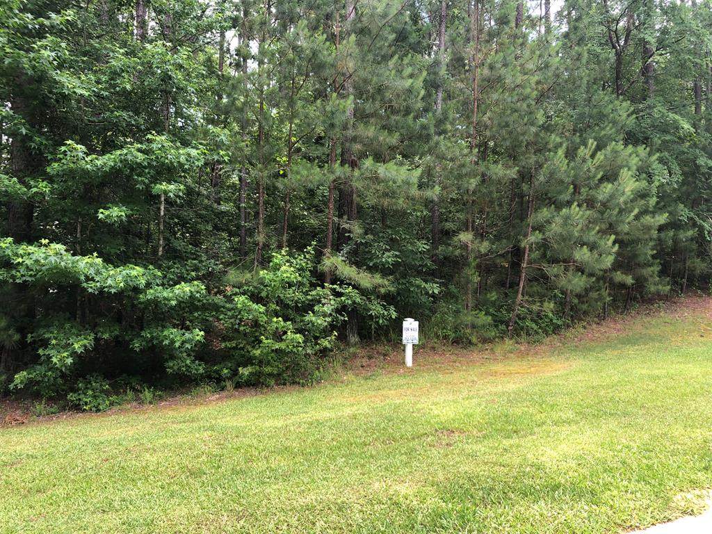 Lot K-13 Shooting Match Lane - Photo 1